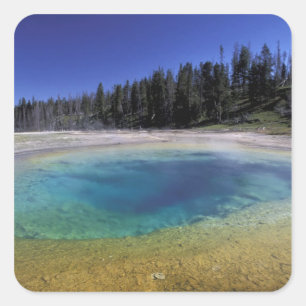 NA, USA, Wyoming, Yellowstone National Park. 2 Square Sticker