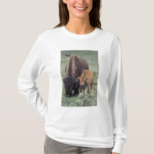 NA, USA, Wyoming, Yellowstone National Park. T-Shirt