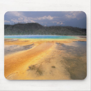 NA, USA, Wyoming, Yellowstone NP, Grand Mouse Mat