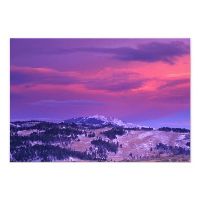 NA, USA, Wyoming, Yellowstone NP, Lamar Valley Photo Print (Front)