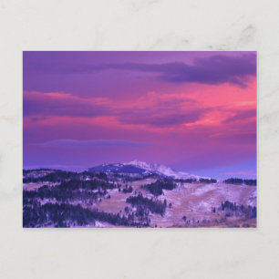 NA, USA, Wyoming, Yellowstone NP, Lamar Valley Postcard