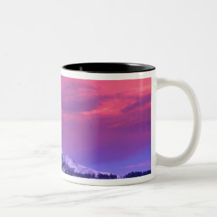 NA, USA, Wyoming, Yellowstone NP, Lamar Valley Two-Tone Coffee Mug