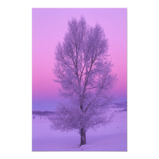 NA, USA, Wyoming, Yellowstone NP, Landscape Photo Print (Front)