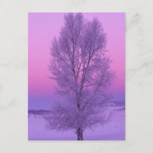 NA, USA, Wyoming, Yellowstone NP, Landscape Postcard