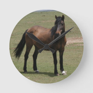 Nacoma Navajo Mustang Round Clock