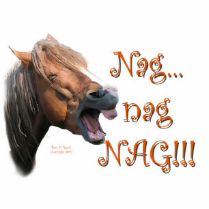 Nag 1 Funny Horse Photo Sculpture Magnet
