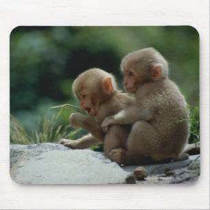 Nagano Prefecture, Japan Mouse Mat