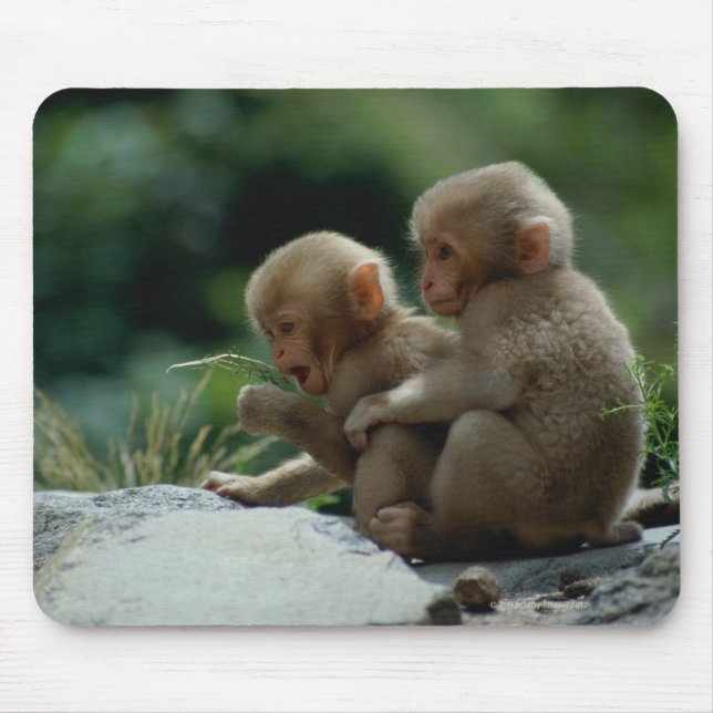 Nagano Prefecture, Japan Mouse Mat (Front)