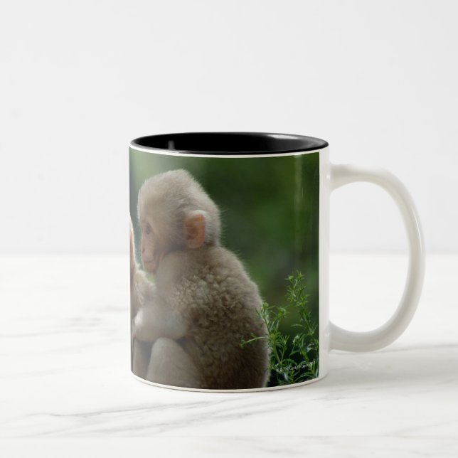 Nagano Prefecture, Japan Two-Tone Coffee Mug (Right)