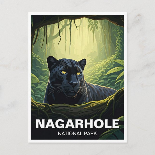 Nagarhole National Park India Travel Postcard (Front)