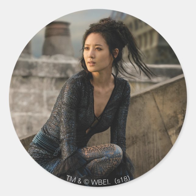 Nagini on Rooftop Photo Classic Round Sticker (Front)