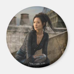 Nagini on Rooftop Photo Magnet