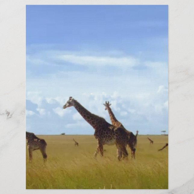 Nairobi National Park Giraffes (Front)