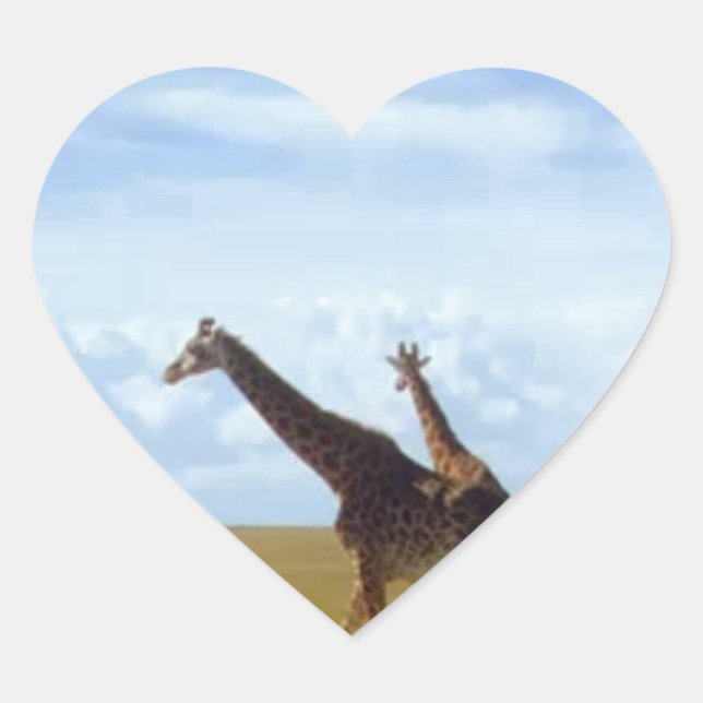 Nairobi National Park Giraffes Heart Sticker (Front)