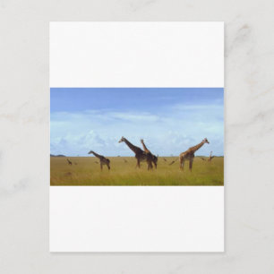 Nairobi National Park Giraffes Postcard