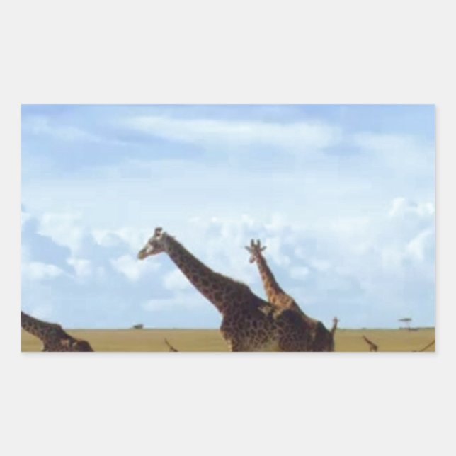 Nairobi National Park Giraffes Rectangular Sticker (Front)