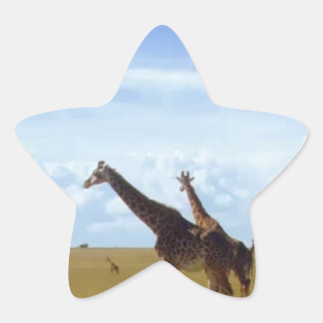 Nairobi National Park Giraffes Star Sticker (Front)