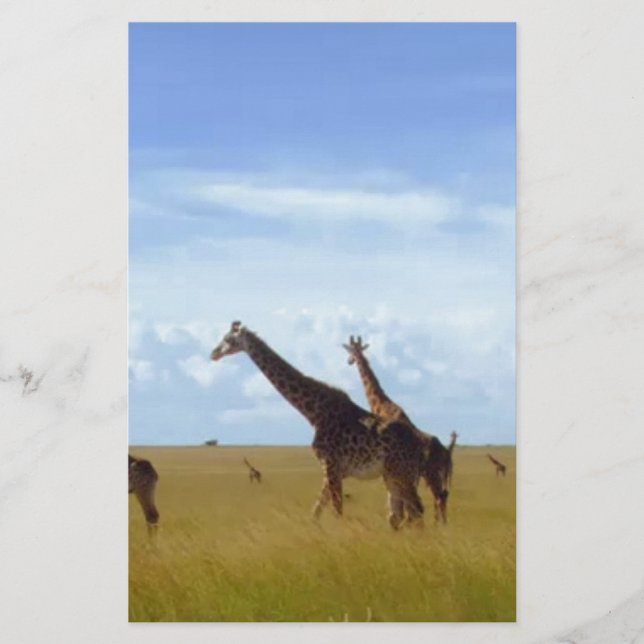 Nairobi National Park Giraffes Stationery (Front)