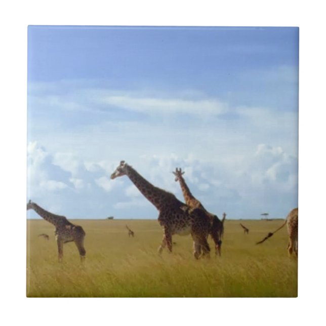 Nairobi National Park Giraffes Tile (Front)