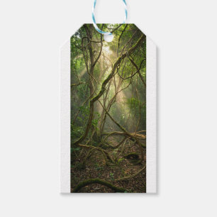 Namal Uyana Mystical Forest Golf Balls - Ironwood Gift Tags