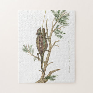 Namaqua chameleon Lizard Reptile Gecko Jigsaw Puzzle
