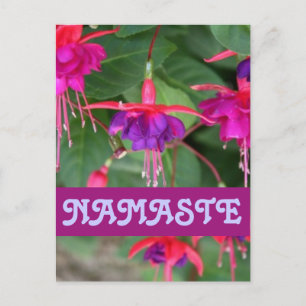 NAMASTE fuschia postcard