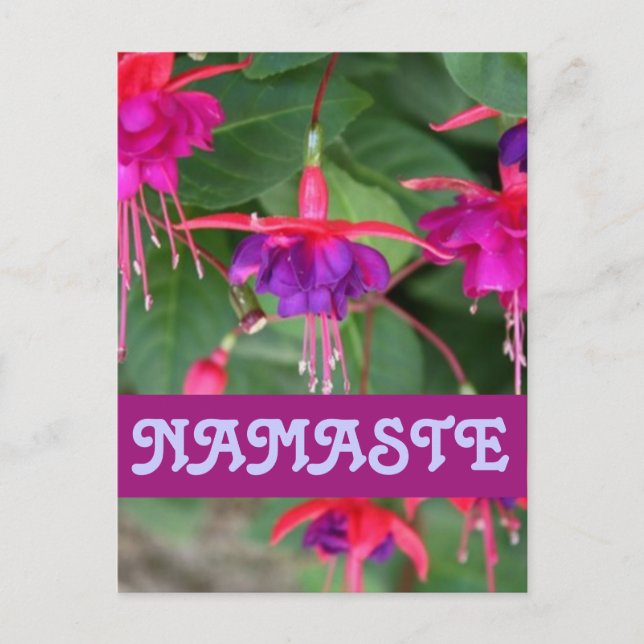 NAMASTE fuschia postcard (Front)