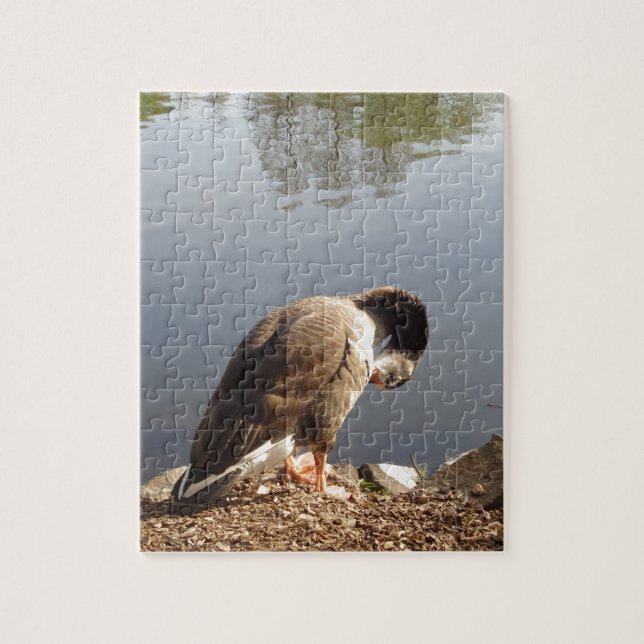 Namaste Goose bows head, Nature, Wildlife, Birds Jigsaw Puzzle (Vertical)