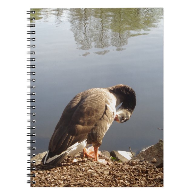 Namaste Goose bows head, Nature, Wildlife, Birds Notebook (Front)