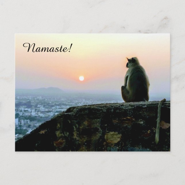 Namaste Meditation Yoga Monkey in India at Sunset Postcard (Front)