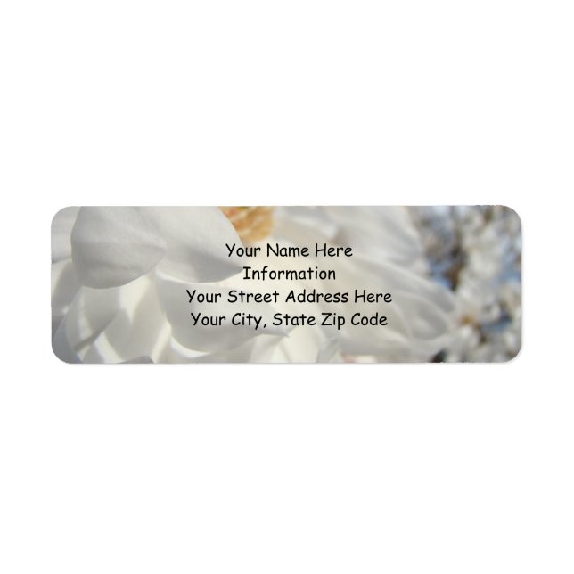 Name Address Labels White Magnolia Flowers (Front)