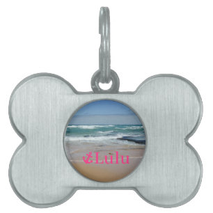 Name Beach Nautical Pink Anchor Pet Tag