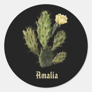Name Cactus Flower Vintage Drawing Black Sticker