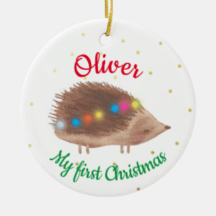 Name Cute Hedgehog Baby First Christmas Ceramic Tree Decoration