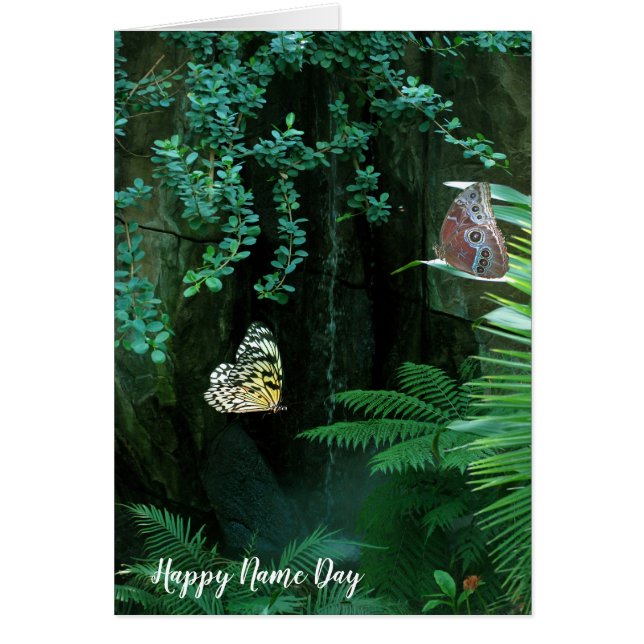 Name Day butterflies in tropical garden (Front)