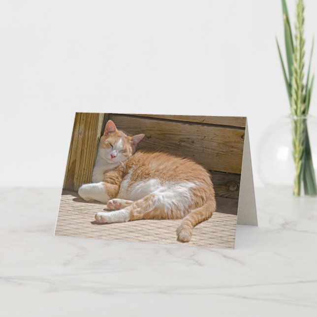 Name Day Tabby Cat Nap Card (Front)