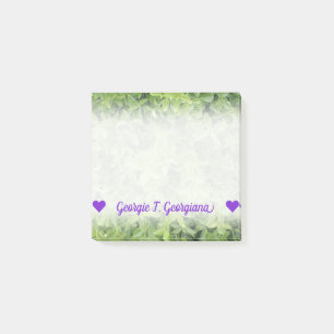 Name; Green Hedge Shrub Type Plant Photograph Post-it Notes