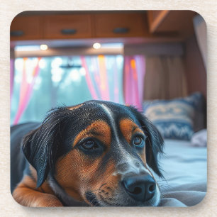 Name: Sleeping Dog Dreams Coaster