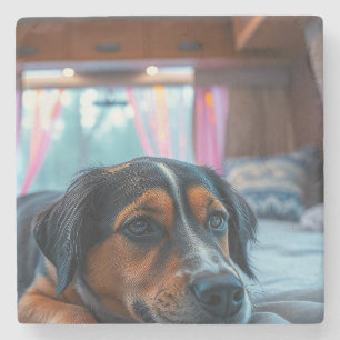Name: Sleeping Dog Dreams Stone Coaster
