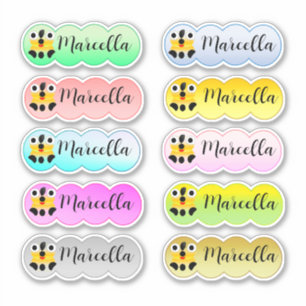 Name Sticker Set Multi Colour With Cute Face