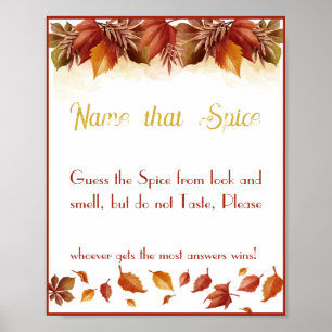 Name that Spice Bridal Shower Game Poster