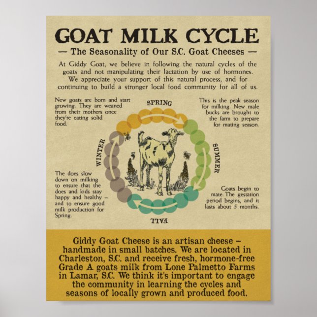 Name Your Print (Front)