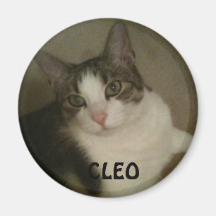 Named Pet Photo Magnet