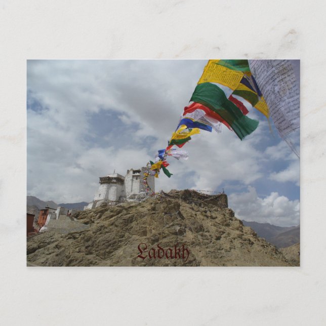 Namgyal Tsemo gompa, Leh, Ladakh, India Postcard (Front)