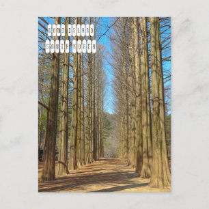 Nami Island Postcard