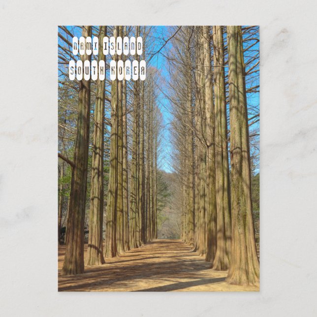 Nami Island Postcard (Front)