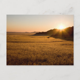 Namib Naukluft Park Postcard