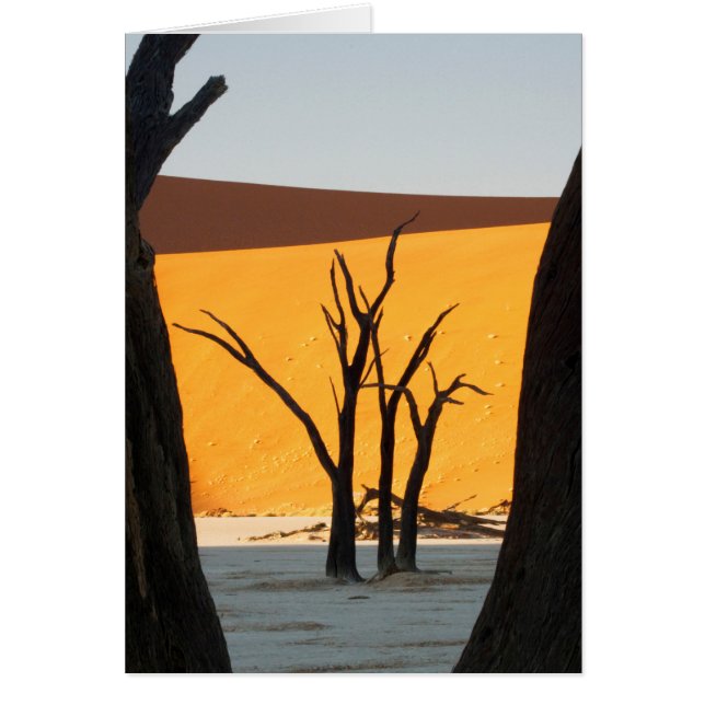 Namib-Naukluft Park, Sossusvlei | Dead Vlei (Front)