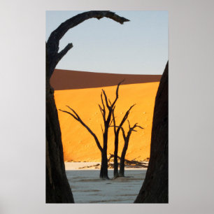 Namib-Naukluft Park, Sossusvlei Dead Vlei Poster