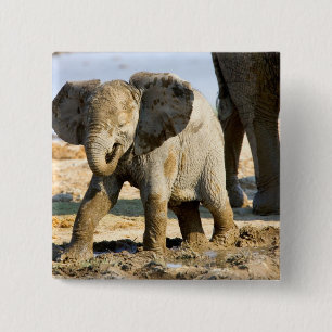 Namibia, Africa: Baby African Elephant 15 Cm Square Badge